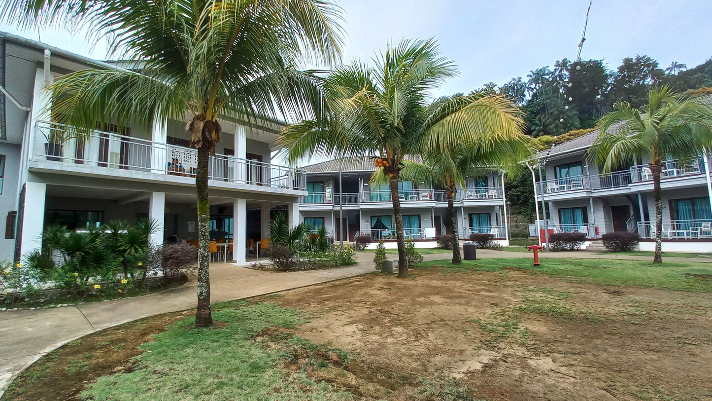 2025 Quick Surf Escapade in a Rustic Kampong Town