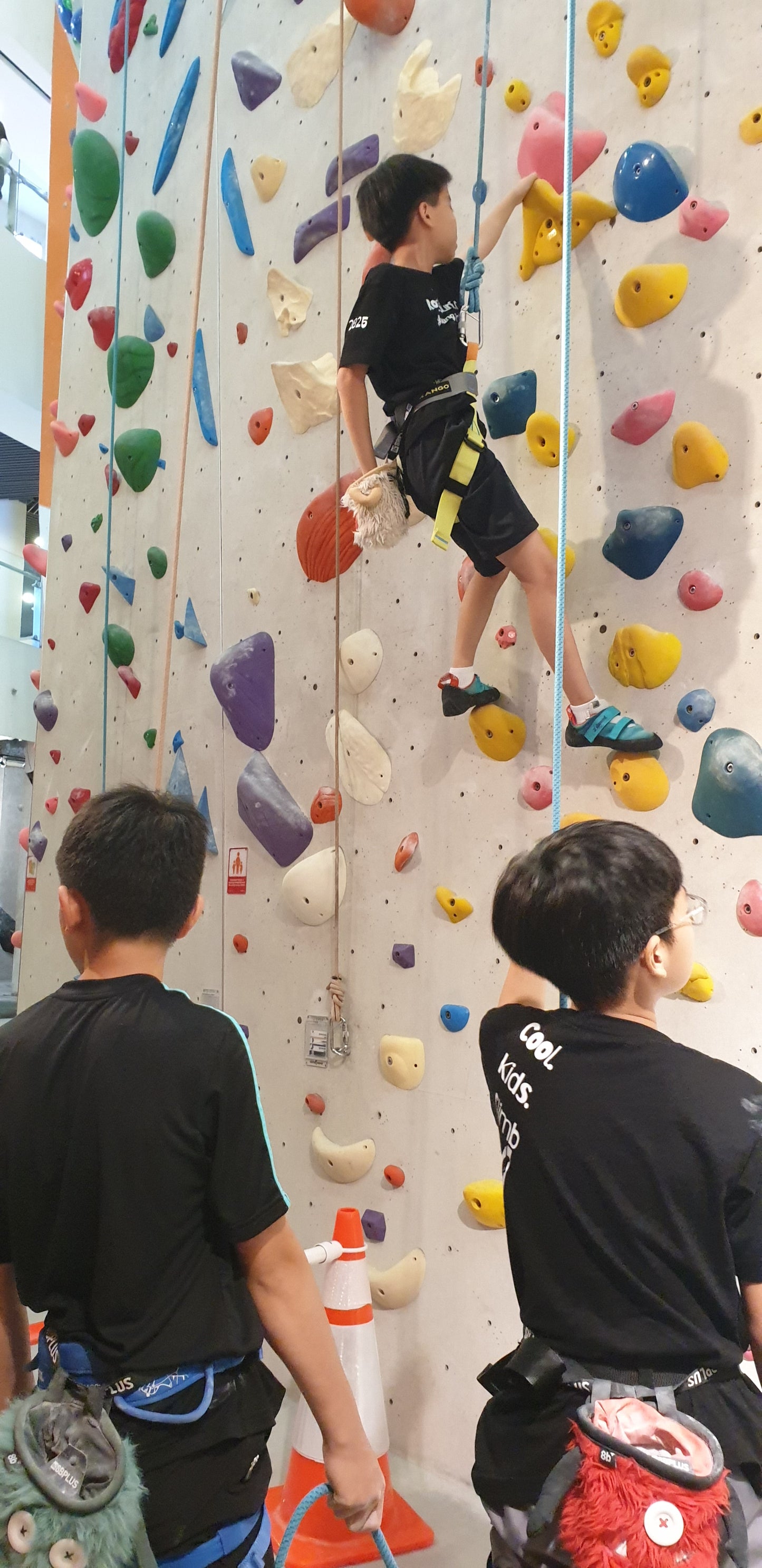 2026 RockSurfChill Indoor Sport Climbing Coaching for Newbies & Kids