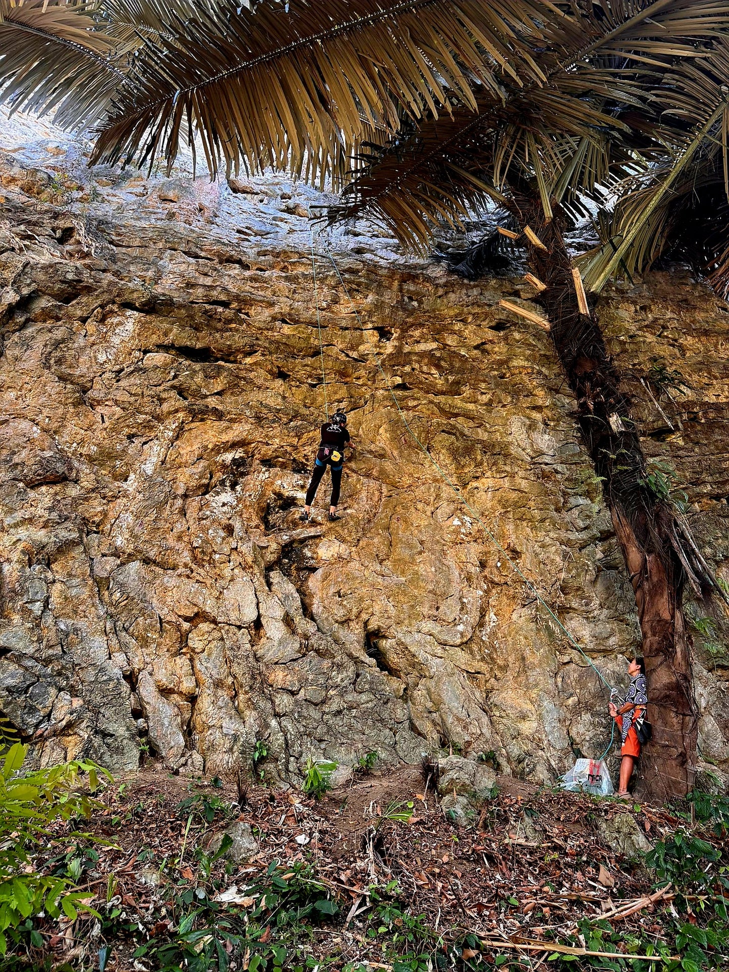 2026 Krabi Rock Climb Retreats - 5D4N Lead Climb Practice