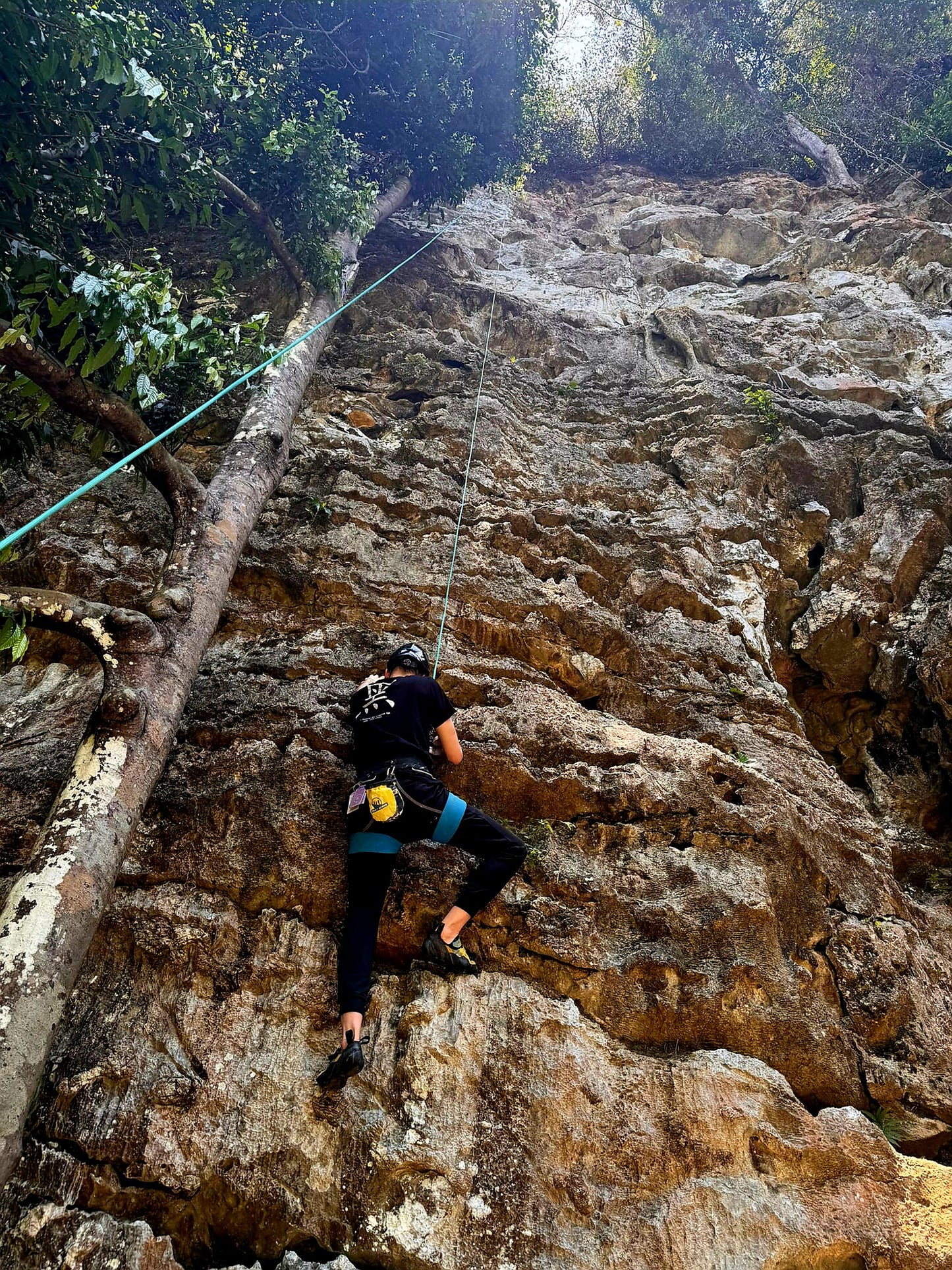 2026 Krabi Rock Climb Retreats - 5D4N Lead Climb Practice