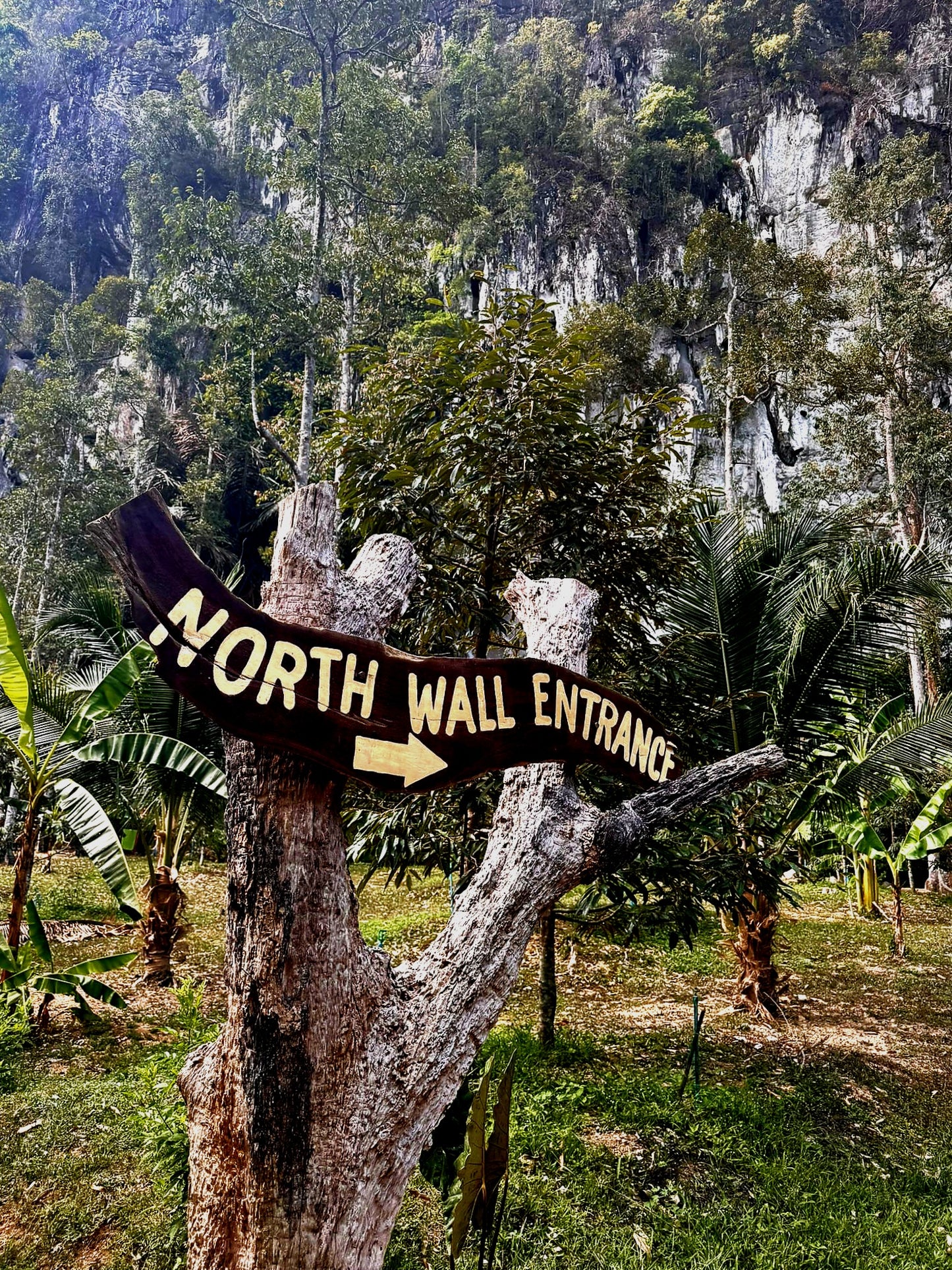 2026 Krabi Rock Climb Retreats - 5D4N Lead Climb Practice